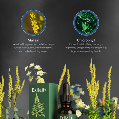 ExHail+ Lung Cleanse